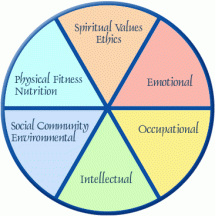 Wellness Wheel