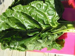 italian chard