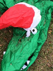 Great expectations…the hope of greater-gator things to come.